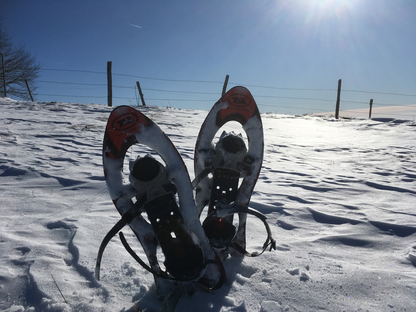 Raquette & Mont d'or : Sommet et boîte chaude !